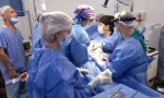 Las Breñas: realizaron más de 200 intervenciones quirurgicas-