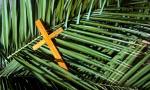 Domingo de ramos: qué significa y por qué marca el inicio de la Semana Santa.