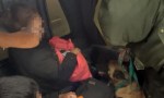 "Una mula" transportaba cocaína valuada en más de 40 millones.