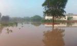 La crecida del río Bermejo afecta a familias y provoca inundaciones en Salta y Chaco