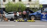 Carbonero dijo que cobró $ 50.000 para transportar dos paquetes, ignorando eran 25 kilos de cocaína.