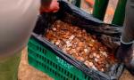 Encontraron casi 400 kilos de monedas en las Cataratas del Iguazú tras la histórica baja del río.