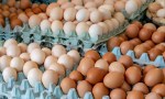Argentina se convirtió en el mayor consumidor de huevos del mundo.