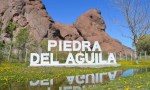 Adjudicaron obras para mejorar el escurrimiento pluvial en Piedra del Águila