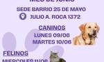 campaña de esterilización gratuita durante la semana del 9 al 13 de junio