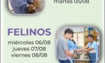 Zoonosis realizará castraciones gratuitas en el barrio Suyai durante el mes de agosto
