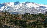 Neuquén despliega todo su potencial turístico en vacaciones de invierno