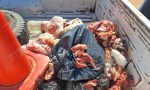 Las Lajitas: Policía Rural secuestró y decomisó carne en mal estado
