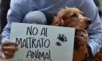 Apolinario Saravia: La Fiscalía interviene ante una denuncia de maltrato animal