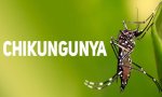 Situación Epidemiológica de Chikungunya en Salta