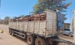 Policía Rural infraccionó a un hombre por transportar madera no declarada en General Pizarro
