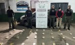 Una perra de Gendarmería detectó 42 kilos de cocaína en Jujuy el destino era J.V.González