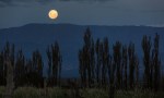 Superluna de Esturión: Comienza agosto con un impresionante espectáculo en el cielo 