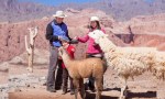 Se acercan las vacaciones de invierno: cuándo comienzan en Salta