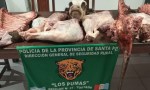 Los Pumas de la ciudad de Tostado esclarecieron un hecho de ABIGAETO AGRAVADO