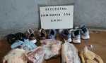 Villa Minetti: Se llevó zapatillas y carne de una vivienda, quedó filmado y lo descubrieron 