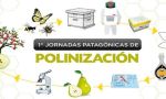 En julio se realizarán las primeras Jornadas Patagónicas de Polinización