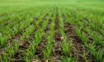 Afirman que El Niño podría instalarse entre junio y agosto