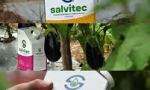 Salvita impulsa la revolución biotecnológica en el agro con su nueva unidad Salvitec