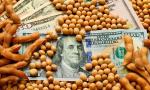 Pasada ya la cosecha, ¿impacta en Salta la suba del precio la soja en el mercado mundial?