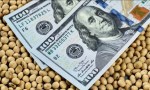 Retenciones y dólar: El agro salteño pide reglas claras y menos presión impositiva