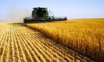 Productores del NOA cuestionan las retenciones: “Atentan contra la competitividad del país”