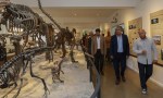 San Martín de los Andes tendrá su museo de Ciencias Naturales