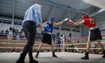 Neuquén Juega definió a los campeones de boxeo