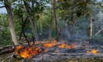ES NECESARIO ENTENDER QUE EL RIESGO DE HACER FUEGO HOY EN TIERRA DEL FUEGO ES ENORME