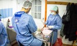 ESTE VIERNES ES EL ÚLTIMO DÍA DE LA JORNADA DE CASTRACIÓN MASIVA EN ZONA SUR