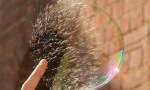 La burbuja del buenudismo