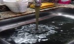 El degradar de un vergel
