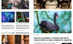 Un par de plumas negras en el visor violeta