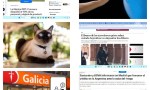 El cascabel al gato y el alfiler al globo