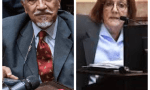 Un freno a los DNU desde Senadores
