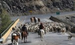 El regreso de la veranada, cuando la montaña devuelve a las familias y los animales