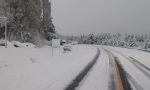 Pasos a Chile | Habilitados Mamuil Malal y Pino Hachado: ya no hay nieve en la ruta