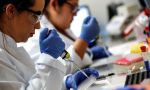 Investigadores argentinos descubrieron el rol clave de una proteína en el desarrollo de la septicemia 