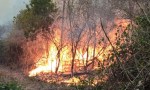 Unas 1.310 hectáreas fueron consumidas por el fuego en Orán