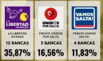 La Libertad Avanza se quedó con 12 de las 21 bancas para convencionales constituyentes