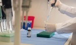 Cannabis medicinal: Salta se prepara para una jornada clave sobre el desarrollo del Reprocann y la Economía del Conocimiento