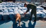 Secuestran 7000 kg de hojas de coca ocultos en un camión