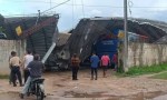 Clima en el norte de Salta: temporal de granizo, lluvia y viento en el norte dejó árboles caídos, vehículos destruidos y ciudades anegadas