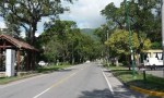 Retiran cartelería política de las calles