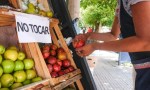 Salud emitió recomendaciones por lavado frutas y verduras