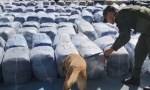 Narcotráfico: Las toneladas de hojas de coca incautada despiertan alarmas