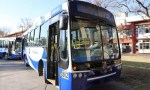 Este viernes, por ser feriado nacional, los colectivos funcionarán con frecuencia de domingo