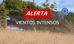 Alerta amarilla por vientos en Salta: Ráfagas de hasta 100 km/h