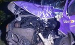 Un caballo suelto causa un grave accidente en la Ruta 9: doble choque y vuelco de un vehículo