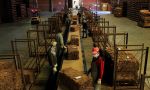 Misiones: Nuevo pago a productores tabacaleros por más de 7.200 millones de pesos